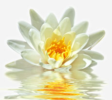 Chronic Pain Management in Fresno California with Fresno Myofascial Release. Eliminate pain and Fibromyalgia with Lori Crane.